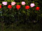 Solar Artifical Rose Lights Outdoor Lawn Park Decoration Lamp LED Silk Rose Lamp