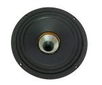 8ohm Coaxial PA Speaker