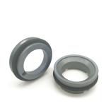 APV PUMA 25mm Silicone Carbide Pump FKM 10bar Pressure
