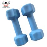 Star Shaped PVC Coated Dumbbells Beautiful Appearance For Women Multi Color