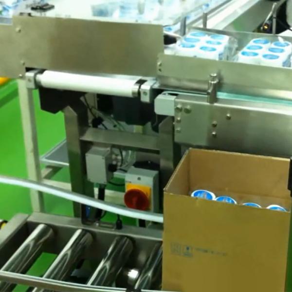 Multifunction Biscuit Packing Line Snack Food Automatic Carton Box Packing