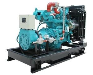 Quality Green Energy Biogas Powered Electric Generator 50Hz / 60Hz 30KW 40KVA CE Verified wholesale