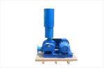 0-80.C Dual Lobe Roots Blower with Direct Coupling Drive 3KW-5KW Rated Power
