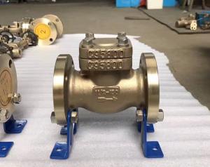 Quality Medium Non Return Check Valve Class 150 - 2500 Pressure Range Light Weight wholesale