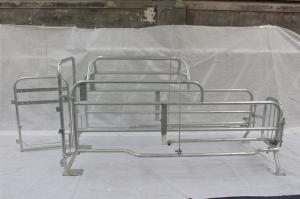 Quality Iron Steel Pipe Sow Farrowing Pens , Swine Farrowing Equipment Any Size Available wholesale