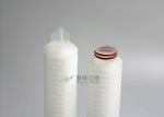GFH 10" 50 Degree 0.3μm glass fiber Gas Filter Cartridge