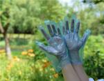 Ambidextrous Food Grade Disposable TPE Gloves