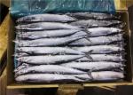 60g 70g Bulk #1 High Protein Frozen Pacific Saury
