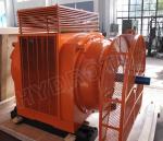 100KW-20MW synchronous generator with Generator Excitation System
