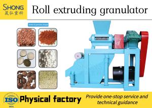Quality Oval / Irregular Shape Fertilizer Production Line for 15-15-15 or 10-10-10 Compound wholesale