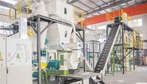 Quality Rice Husk EFB Wood Log Pellet Making Equipment Production Line wholesale