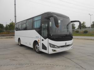 Quality 10-34 Seats Single Door Coach Electric Sightseeing Bus With Customizable Luxury Design wholesale