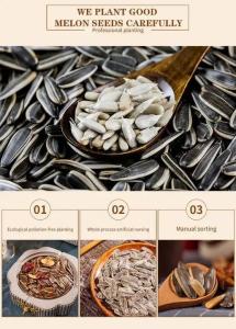 Quality China Factory Process Five Fragrant Spices Boiled Salted Roasted Sunflower Seeds wholesale