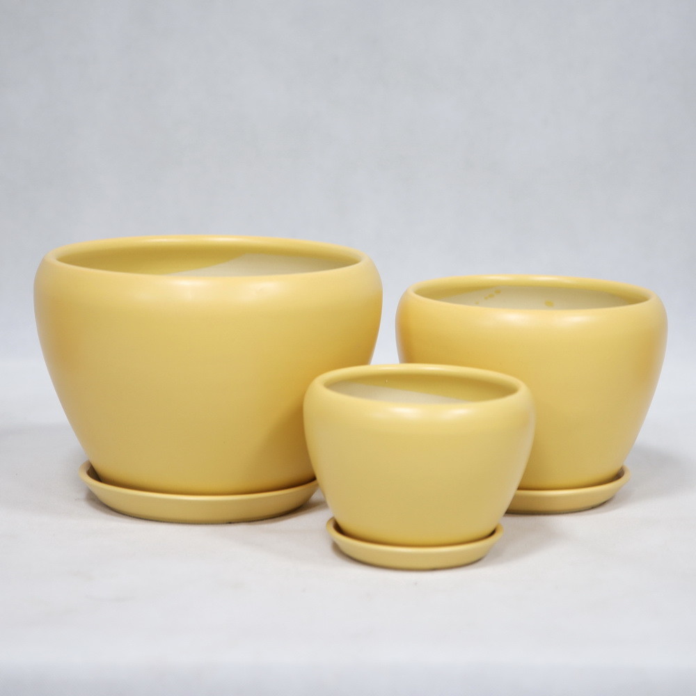 Affordable And Durable Ceramic Pots For Your Plants Custom Designs Available