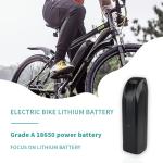 Powerful 28Ah E bike Lithium Battery with Extended 1C Max Discharge Current