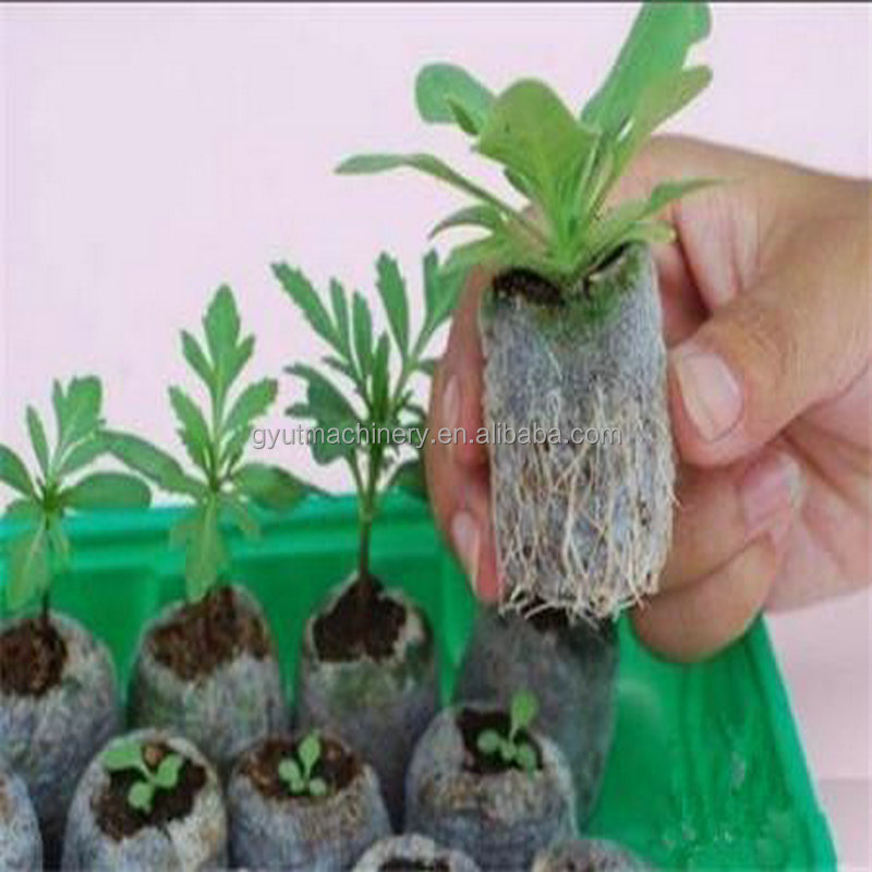 200 KG Full Automatic Seedling Machine for Lettuce Seeds Tray Key words Nursery Making