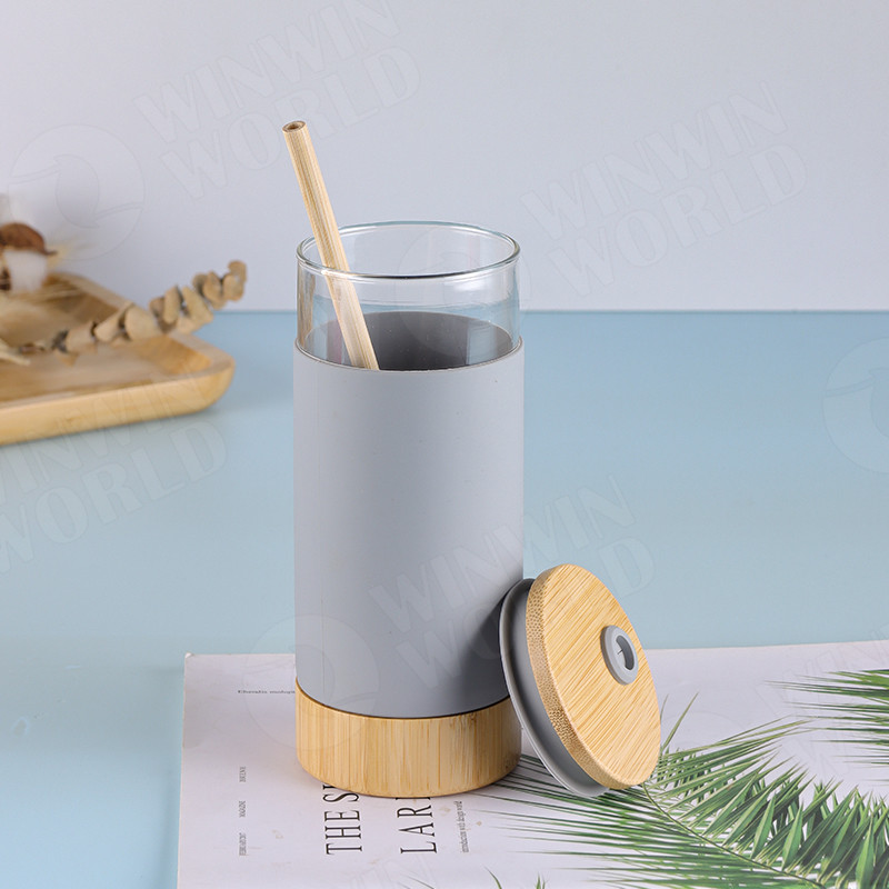 21oz Silicone Glass Storage Bottles Tumbler With Straw