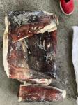 2 - 4kg Skinless Membrane Off IQF Frozen Squid Meat