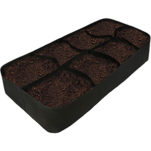 raised bed