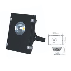 Quality IP65 outdoor high power 50W led floodlight wholesale
