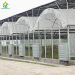 Outdoor Plastic Film Poly Tunnel Agricultural Seeding Greenhouse For Sale