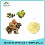 50 % - 98 % Tea Saponins Camellia Oleifera Seed Extract