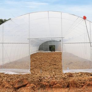 Quality Tunnel Plastic Film Top Vent Greenhouse Uv Single Span For Plants Growing wholesale