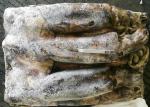 Equator Giant Squid 2000g Up Size