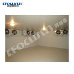 FOCUSUN Refrigeration Room with Cold Freezer System The Ultimate Cold Freezing