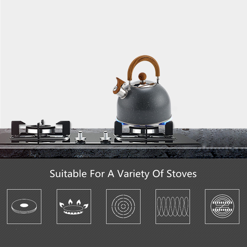 Household stainless steel electric OEM tea pot hot water whistling kettle