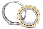 U20.223 High Precision Brass Cage Bearing Cylindrical Roller Bearing