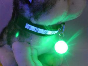 Quality Pet Dog LED glowing pendant necklace Safety puppy Cat Night Light Flashing Collar Glowing in Dark wholesale