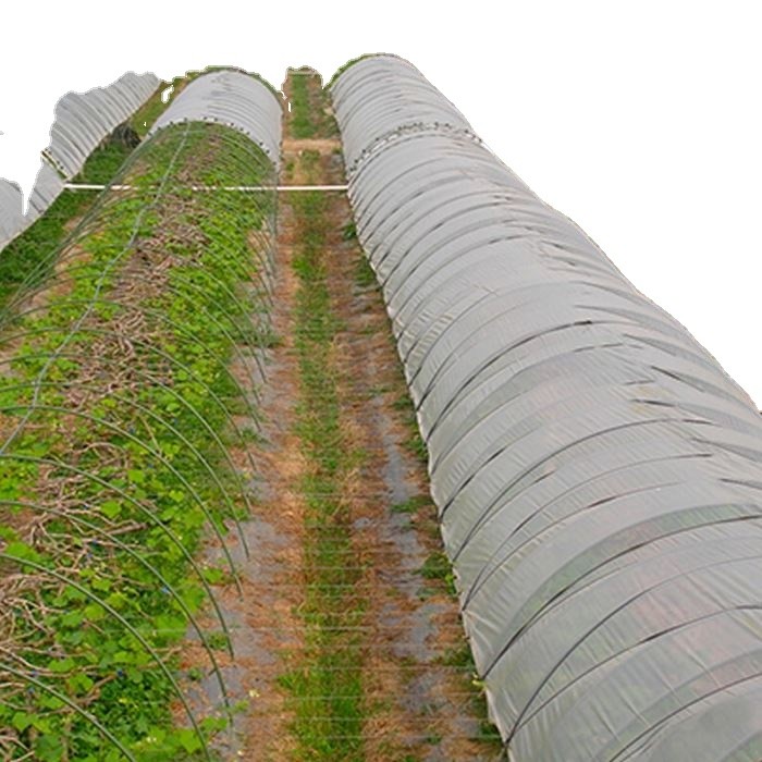 Heavy Duty Spunbond Agricultural Non Woven Fabric 100% Polypropylene