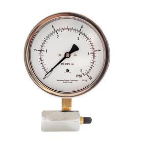 China 3/8NPT Valve 4 Inch 10cm Capsule Pressure Gauge 5 Psi SS Case on sale