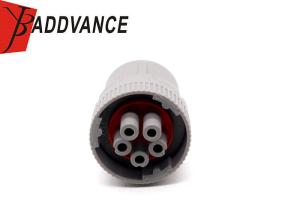 Quality Hot Sales HD16-5-16S 5 Pin Female Deutsch HD10 Series Connector Non-Threaded Rear wholesale