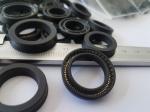 High Quality , High Tensile Strength PTFE Seal , Silicone Rubber Gaskets Black