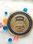 Coin Manufacturer Souvenir Metal Custom Police Challenge Coin