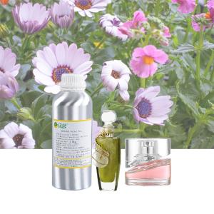 Quality Pure Perfume Fragrance Oil And Concentrated Perfume Fragrance wholesale