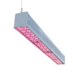 Broad White Spectra Greenhouse LED Grow Lights 600W IP65 2.7μmol/J