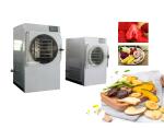 Small Vacuum Freeze Dryer SUS304 Electric Heating Home Use