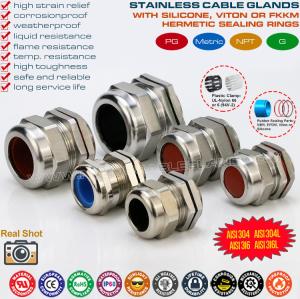 Quality 304, 316, 316L Stainless Steel PG Cable Glands IP68 Watertight Metal Compression Glands with Fluoroelastomer Seals wholesale