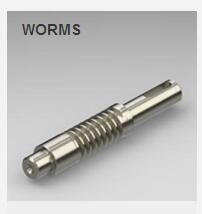 Quality WORMS wholesale