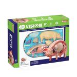 Educational Master 18cm 4d Anatomy Model 19 Parts