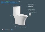 Single flush Toilet / 1 pc Toilet Economic steam room Washdwon