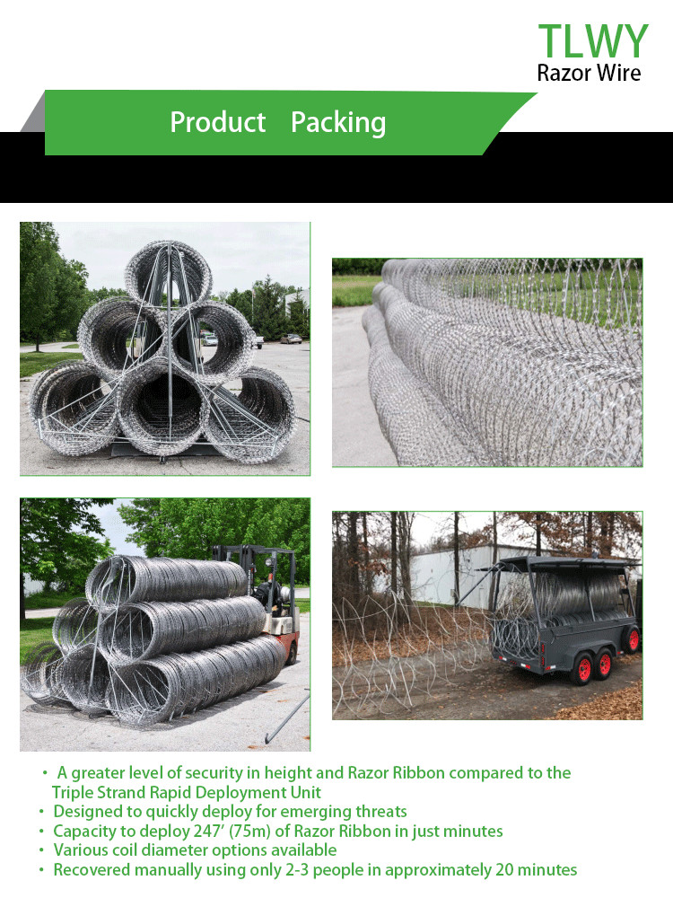 TLSW Anping BTO-10 2.5 Mm Barbed Razor Wire Fencing Rot Proof