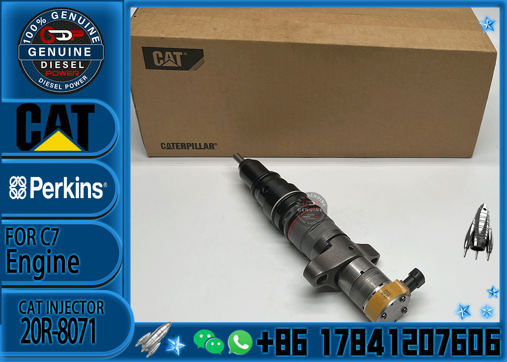 Diesel Engine Parts Common Rail Fuel Injector 20R-8071 for CAT C7 Diesel Engine CNDIP Factory price