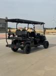 4+2-Seater Black Electric Off-Road Luxury Golf Cart Lithium Battery Equipped
