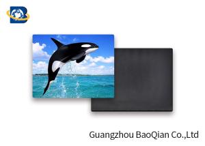Quality Customized Animal Personalized Fridge Magnets 3D Pictures PET Lenticular Thickness 0.6mm wholesale
