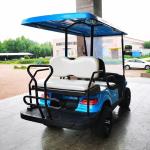 OEM 50km Range Electric LSV Aetric Golf Cart With Lead Acid Battery