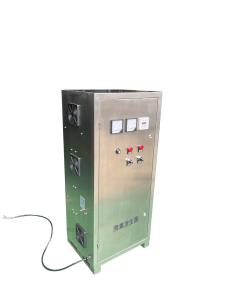 Quality Home Electric Ozone Water Generator 10-1000 Mg/H wholesale